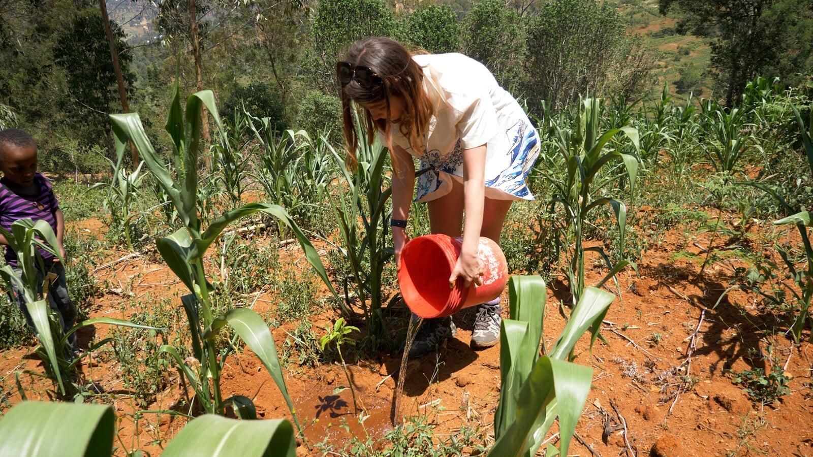 Rooted in Impact: Unveiling the Advantages of Tree Planting in Costa Rica and How You Can Lead the Change with Grants